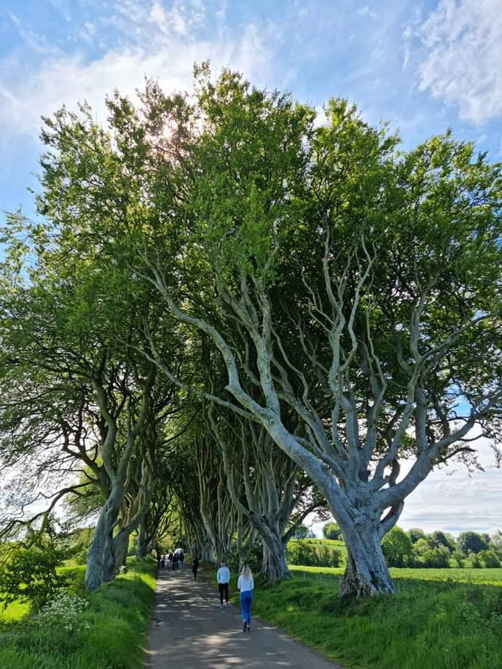 facebook_1654690204022_6940273741491002674