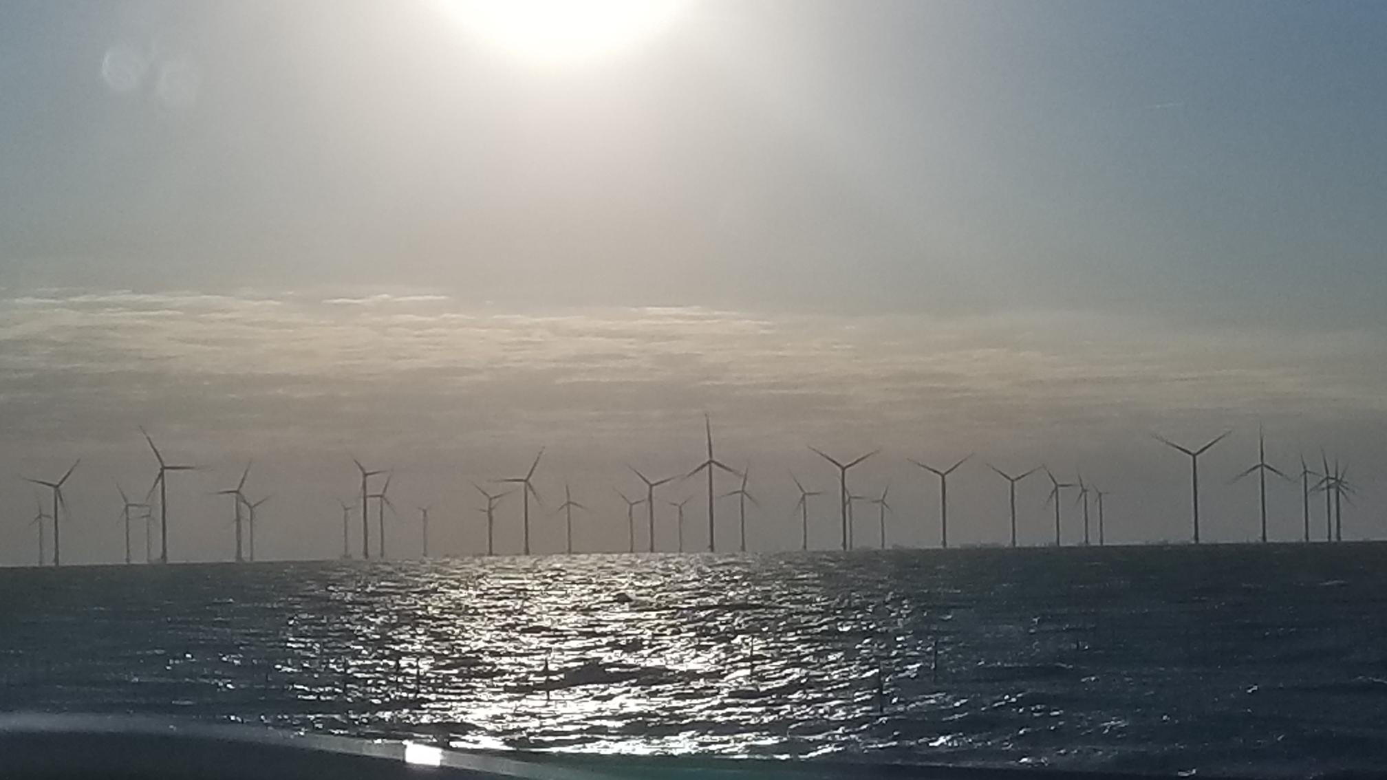 20220903_075338[2044]