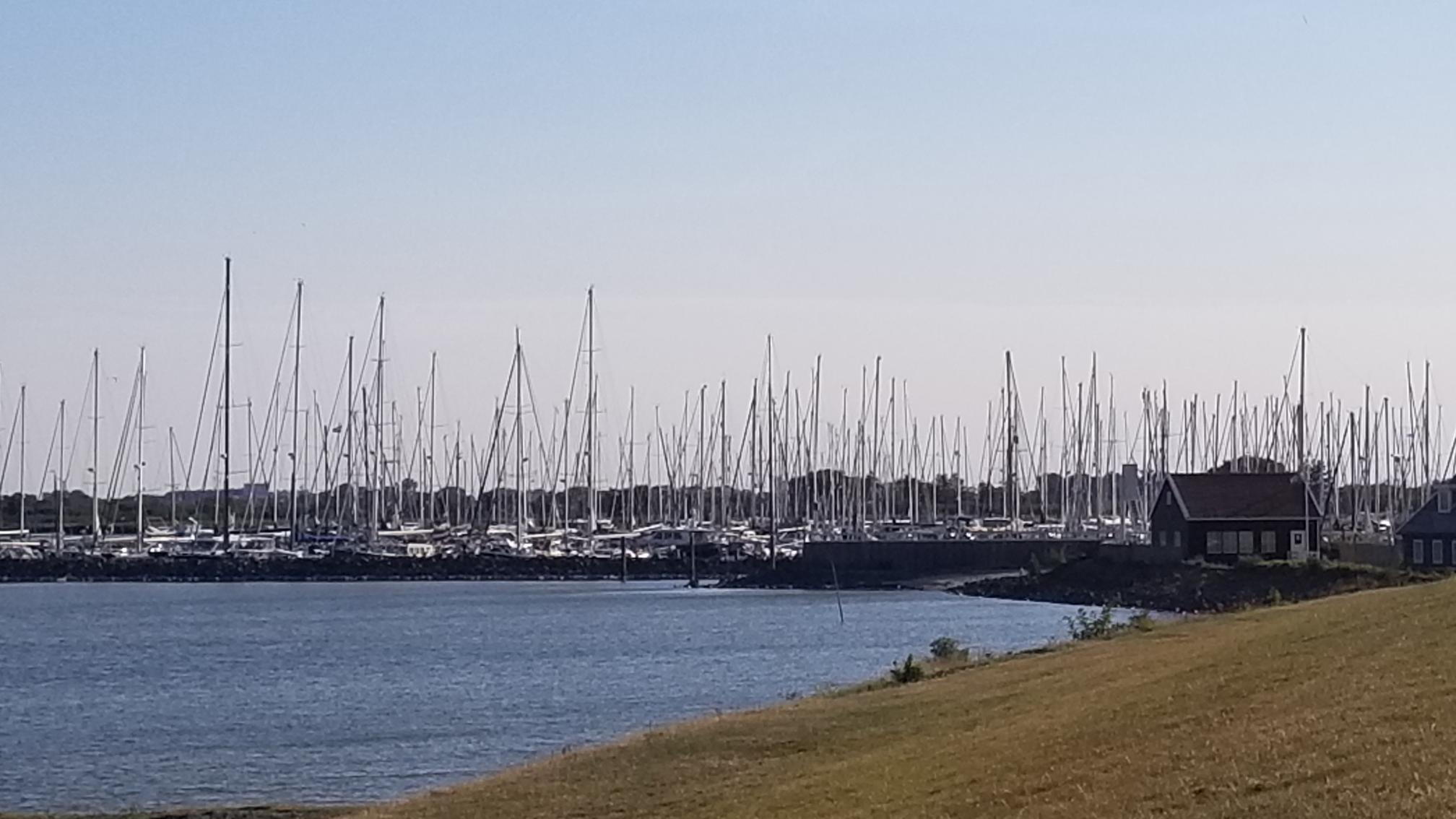 20220903_091817[2051]