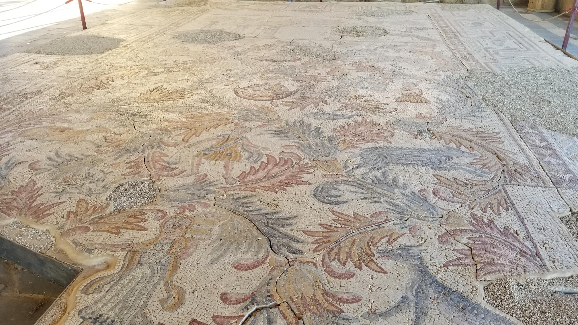 20221229_094035[4472]