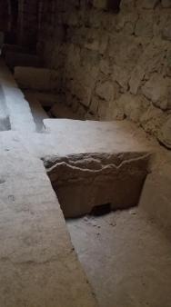 20221229_131045[3913]