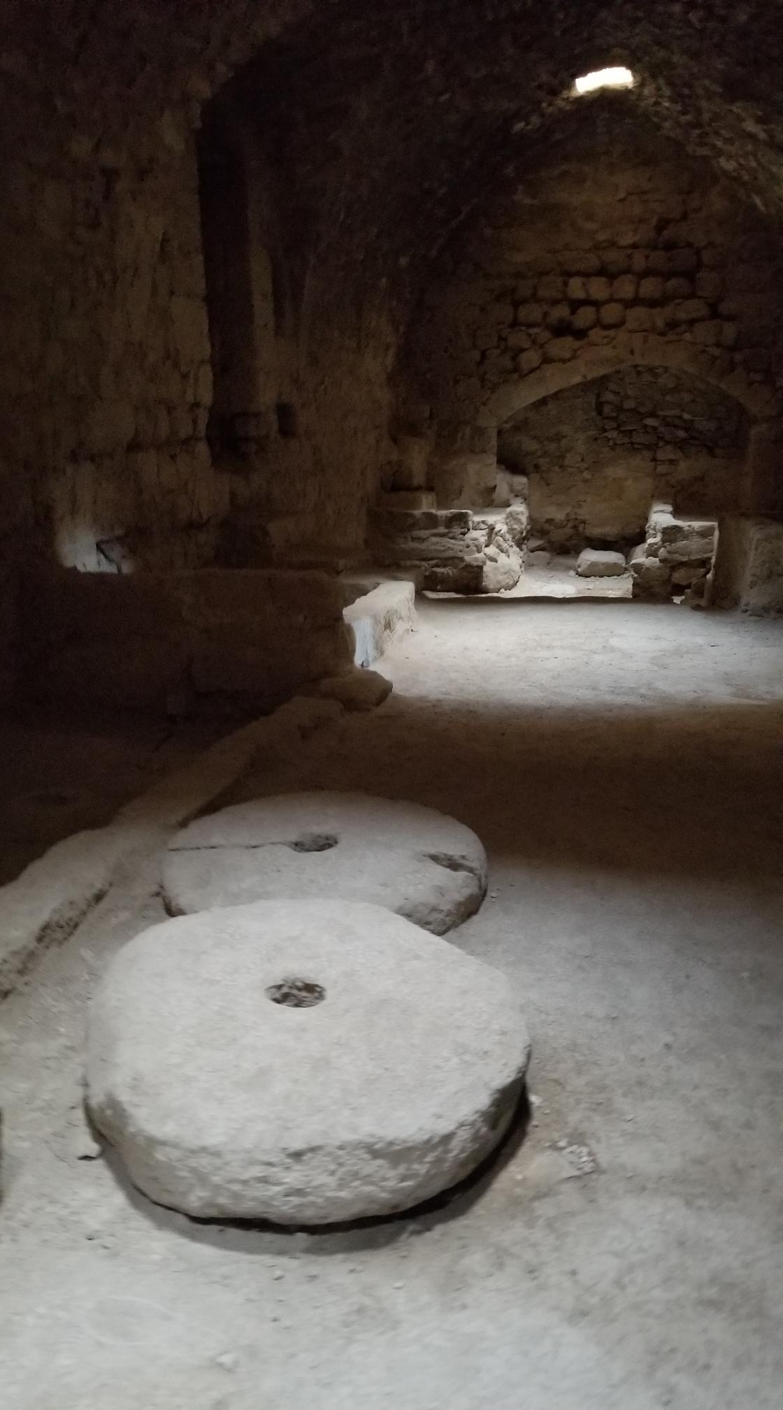 20221229_131051[3914]