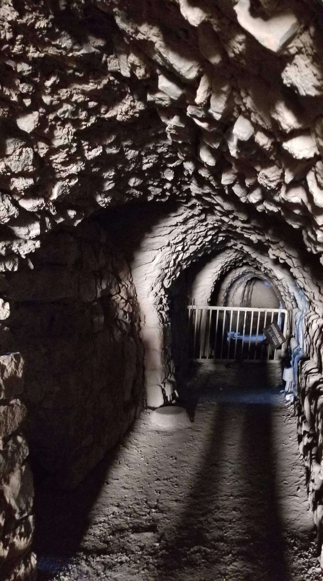 20221229_133122[3918]