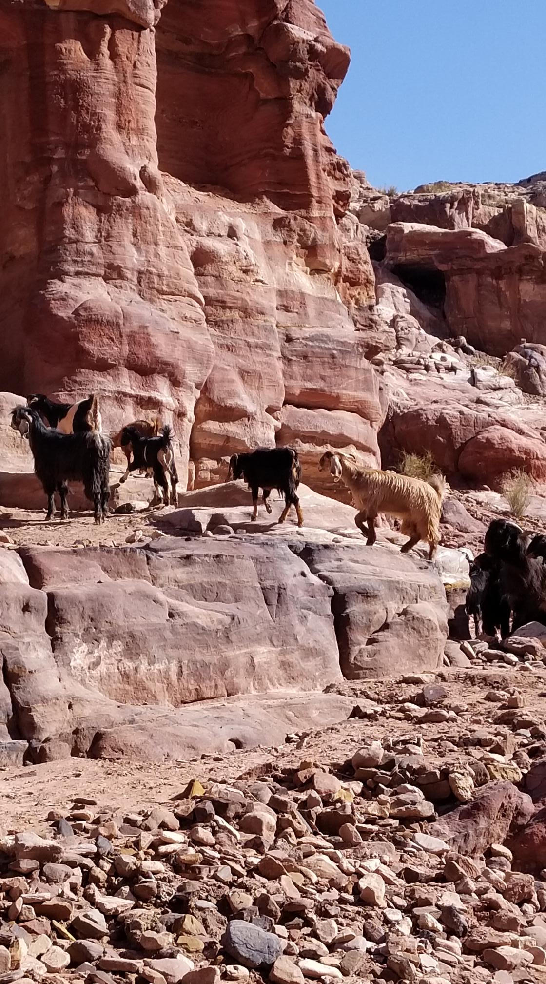 20221230_132742[3957]