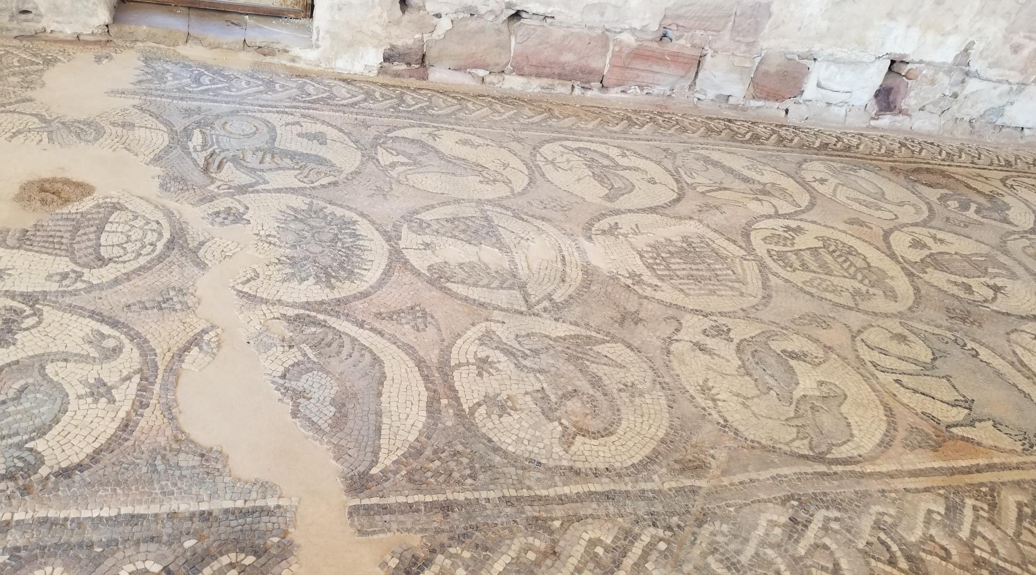 20221230_134656[3961]