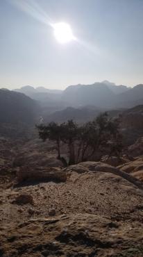 20221230_162508[3963]