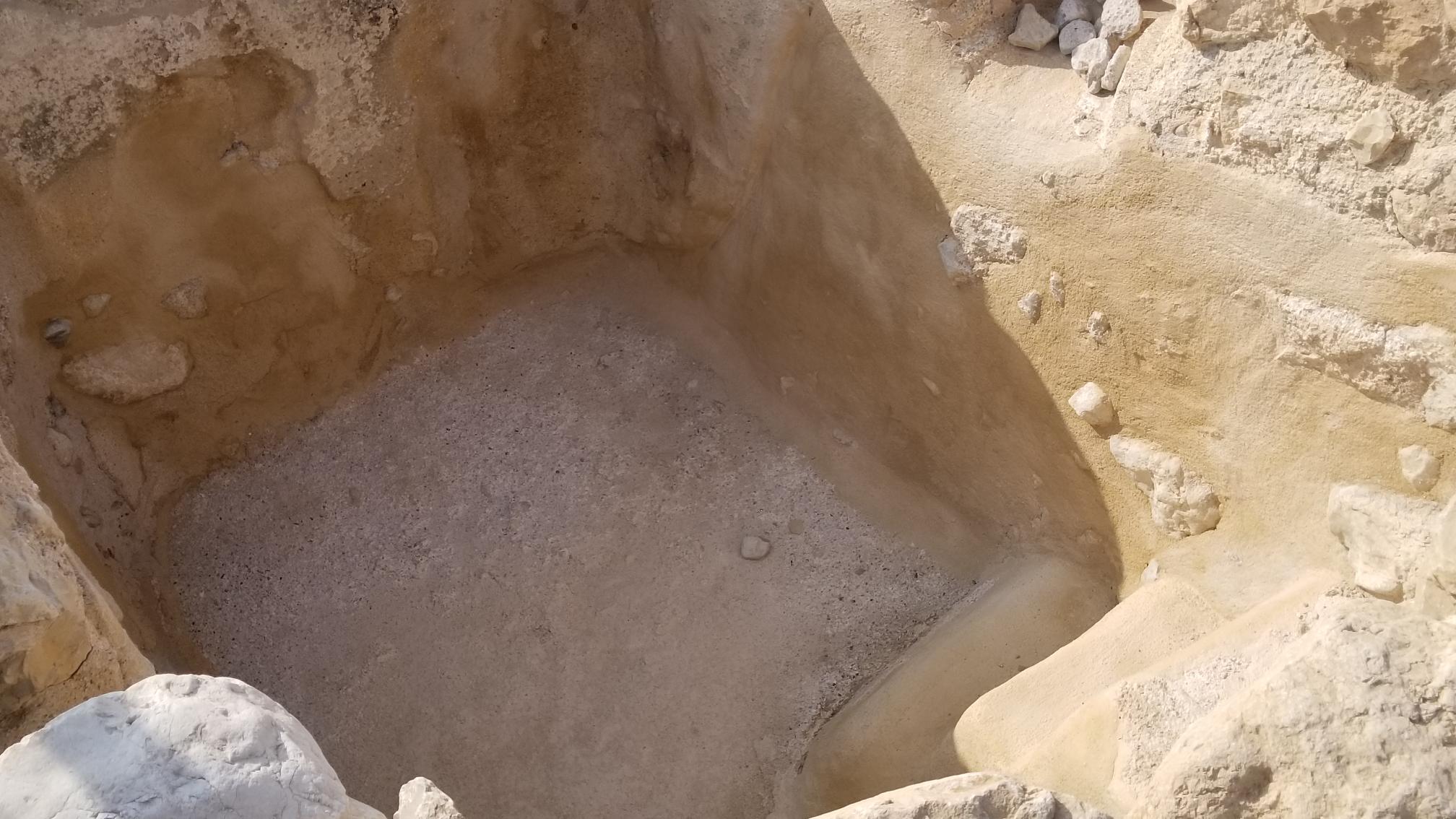 20221231_122646[4029]