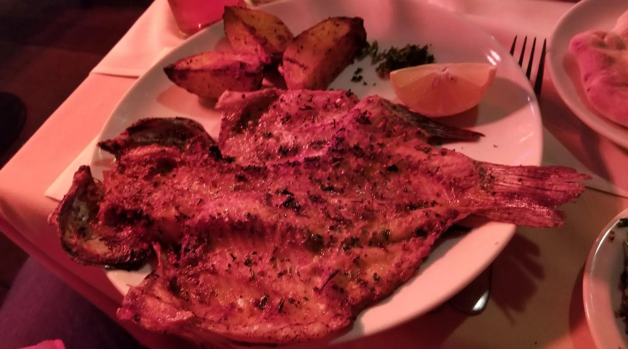 20230104_193232[4247]