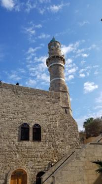 20230106_114616[4428]