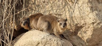 IMG-20230103-WA0002[4250]