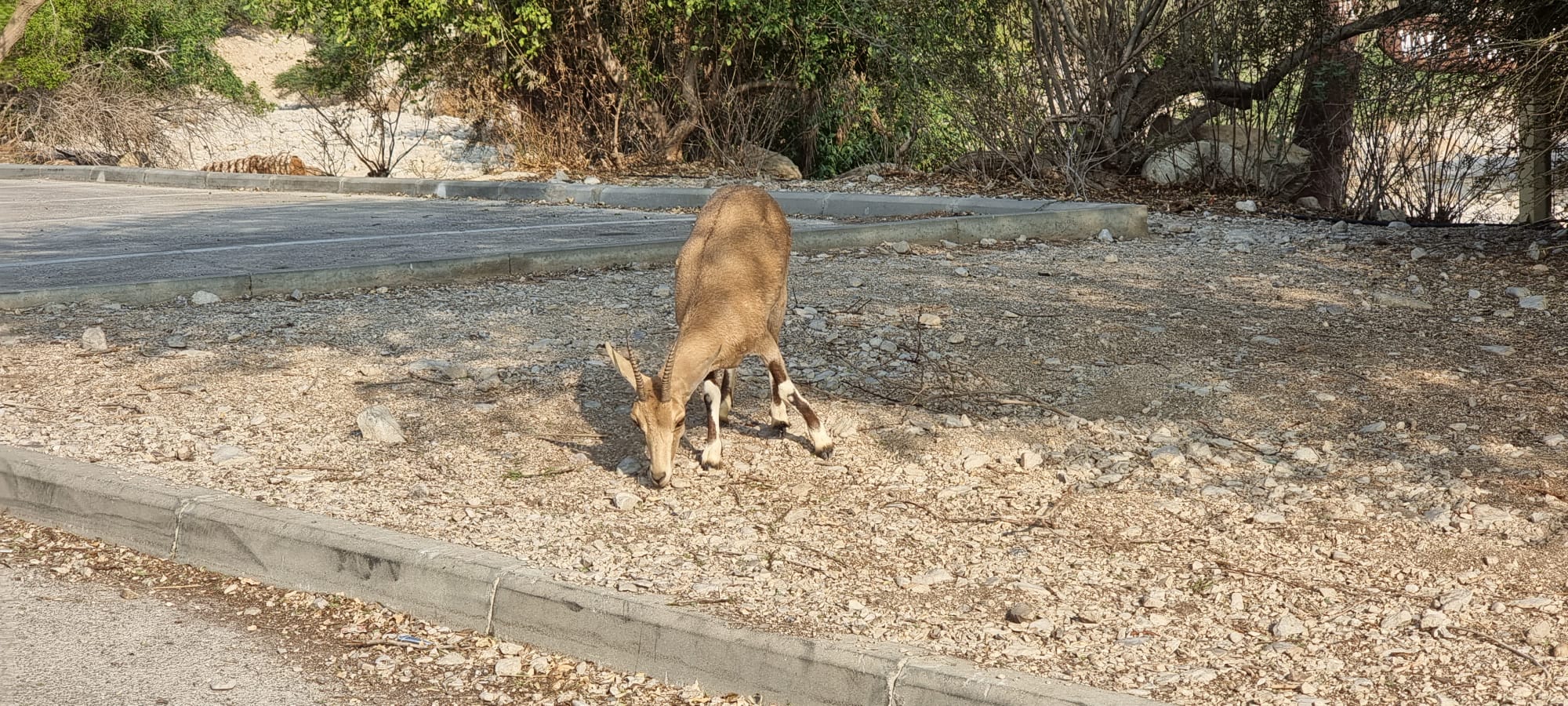 IMG-20230103-WA0003[4251]