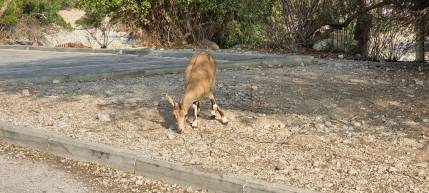 IMG-20230103-WA0003[4251]