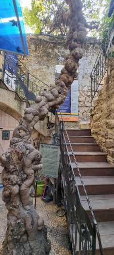 IMG-20230104-WA0009[4207]