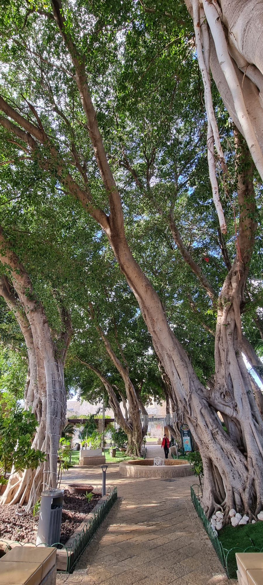 IMG-20230105-WA0009[4367]