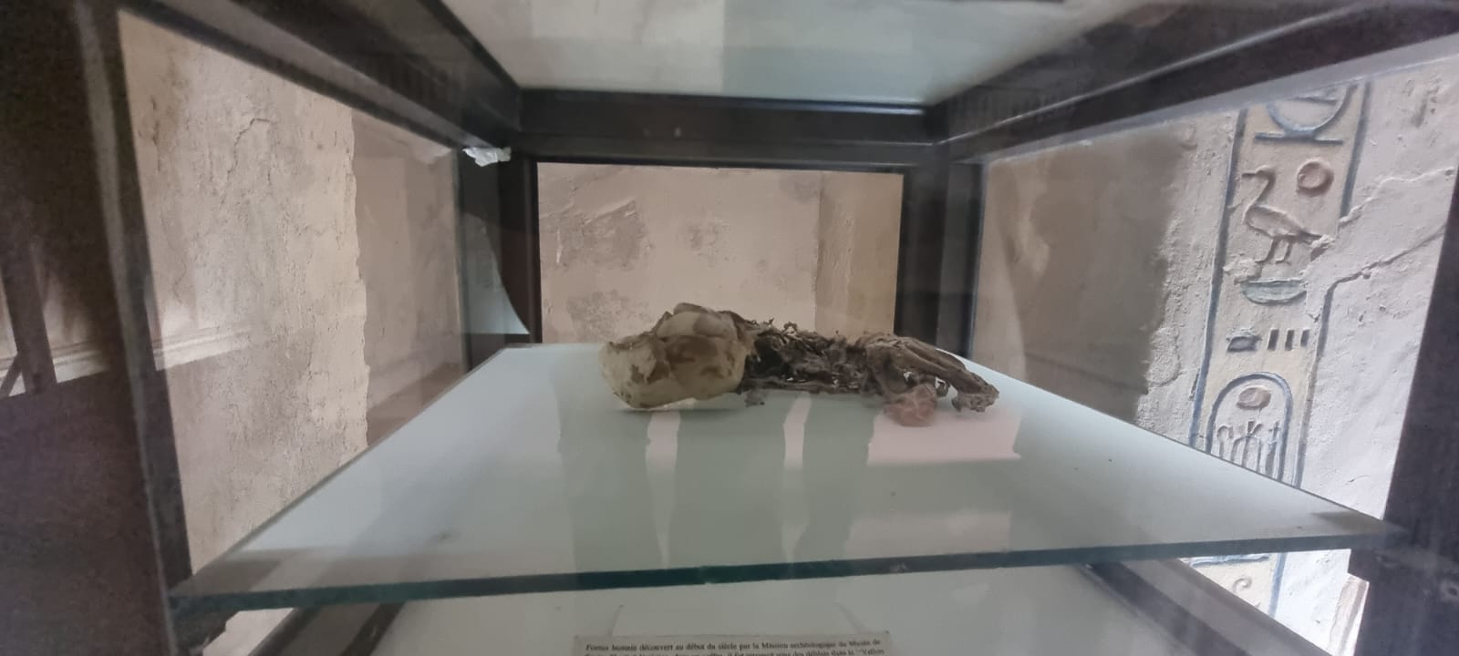 IMG-20230301-WA0007[5963]