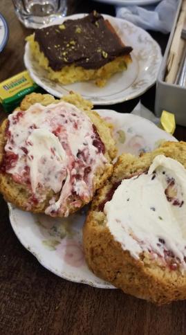 20230413_100448[7222]