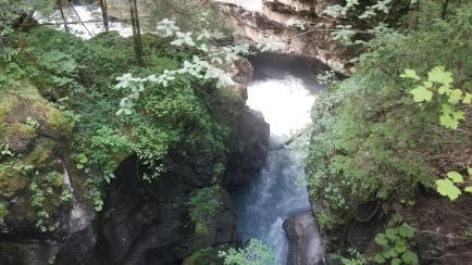 20230704_163749[8883]