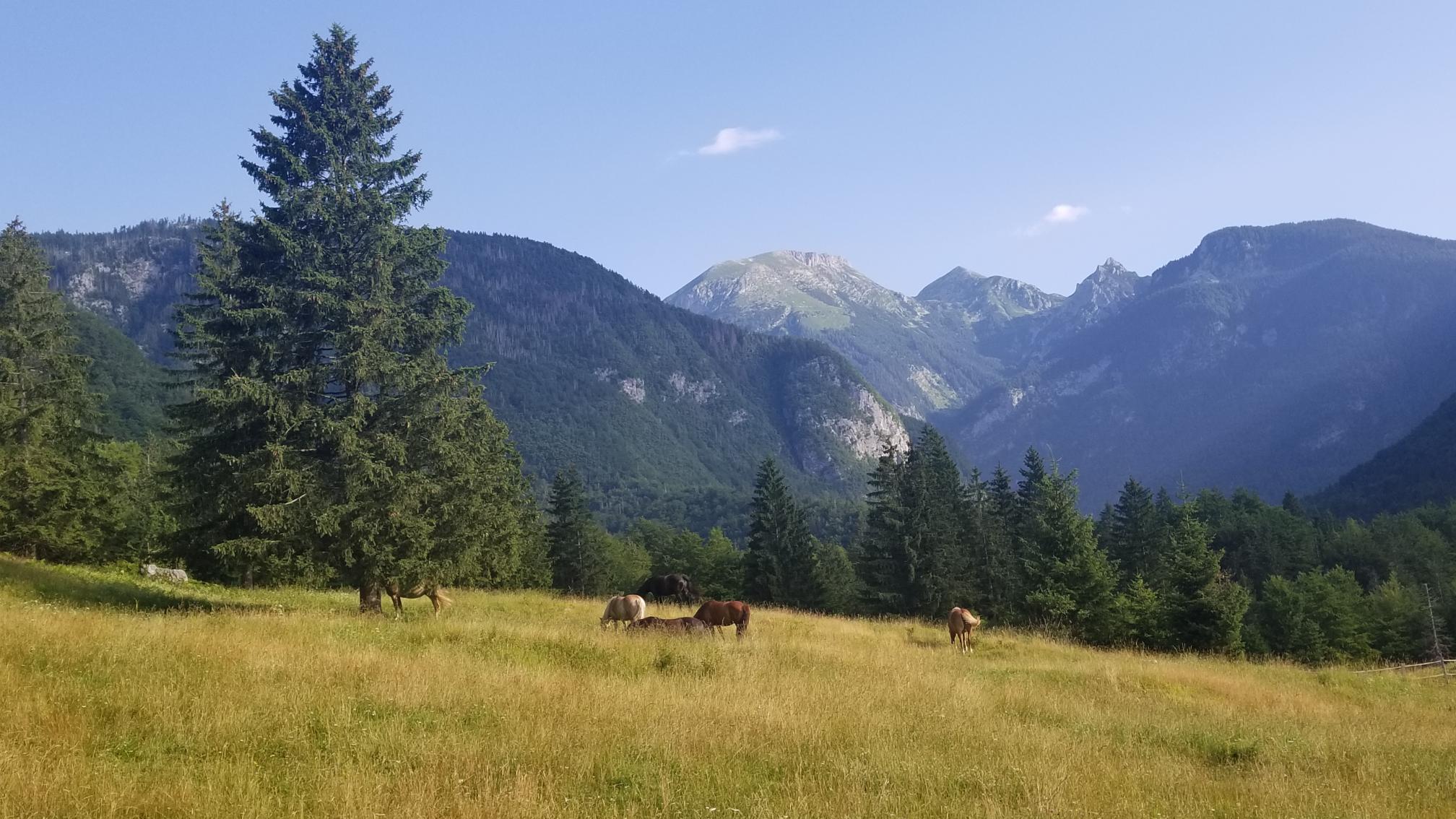 20230709_080709[8894]