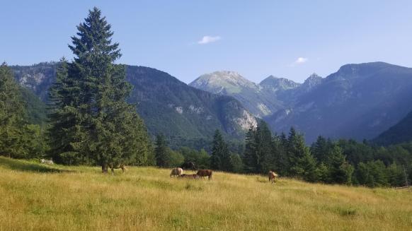 20230709_080709[8894]