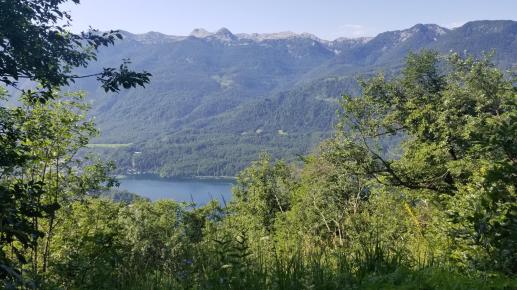 20230709_090443[8898]