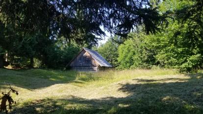 20230709_091830[8895]