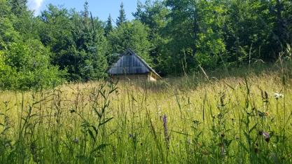 20230709_091956[8897]