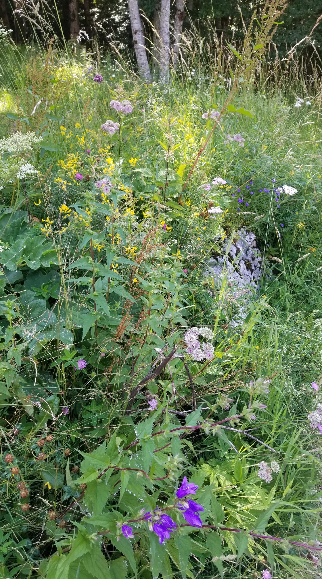 20230709_095941[8903]