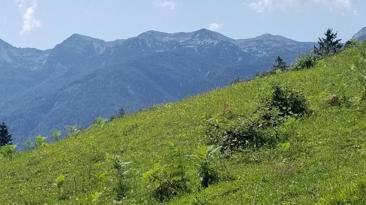 20230709_112950[8901]