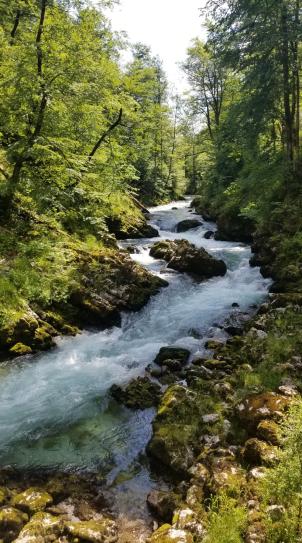 20230709_151704[8912]