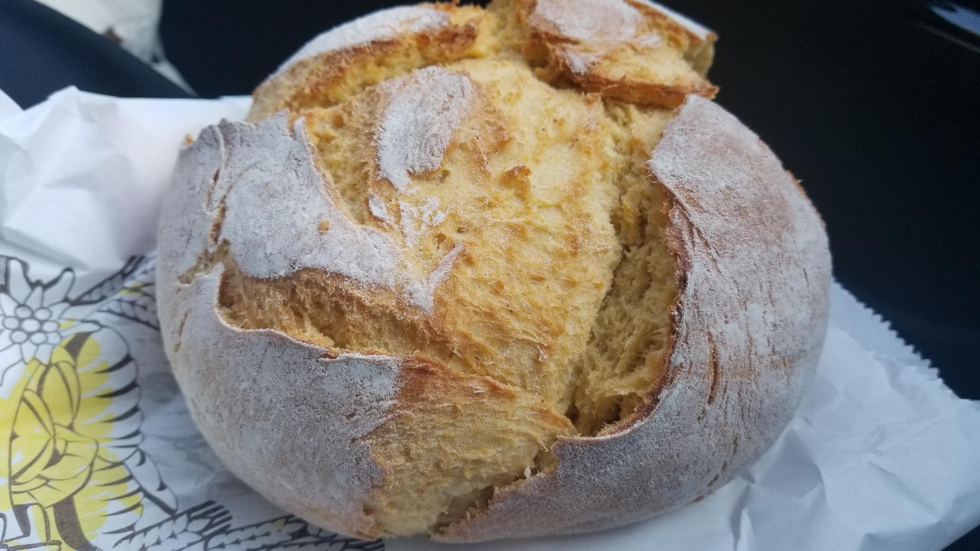 20230710_083015[8923]