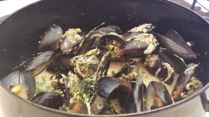 20230711_134532[8963]