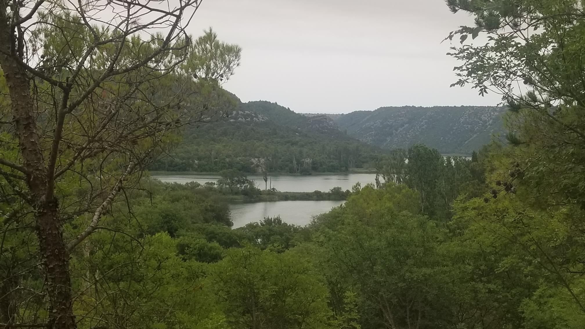 20230713_145952[8976]