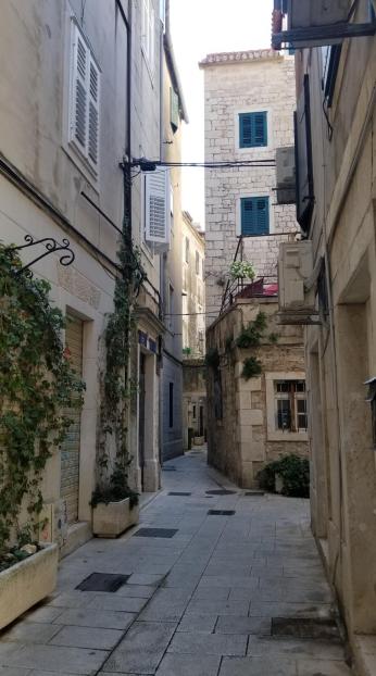 20230715_163027[9001]