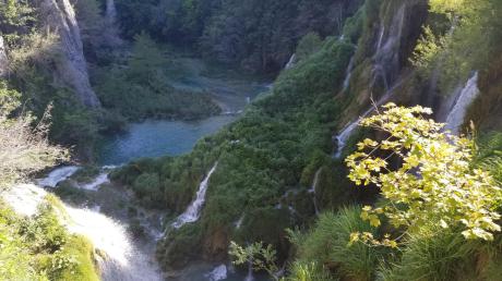 20230716_082040[9019]