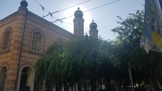 20230718_082053[9079]