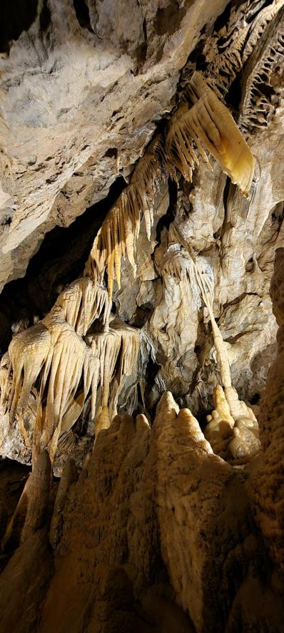 20230719_161636[9455]