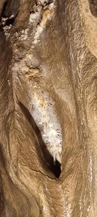 20230719_163152[9450]