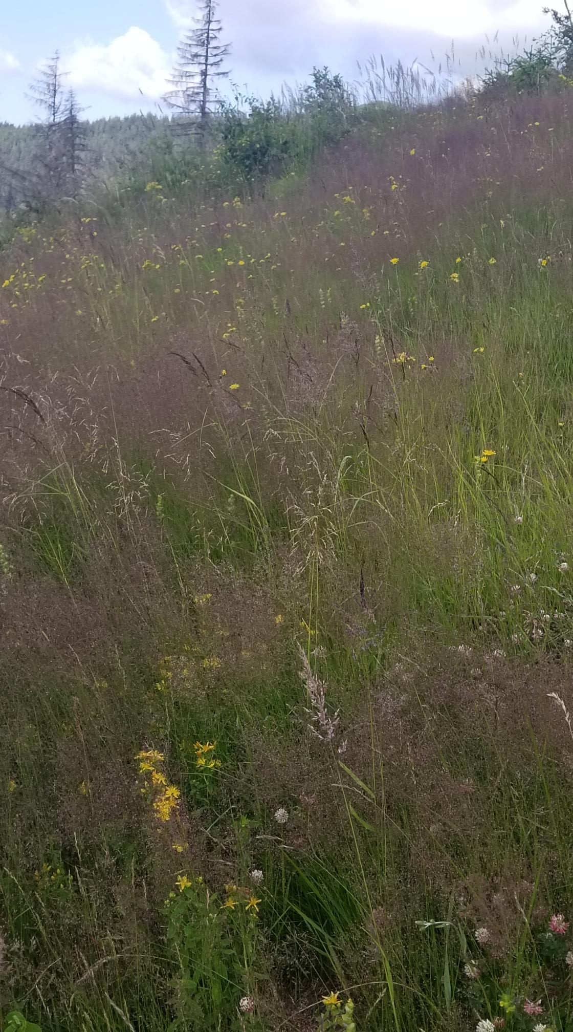 20230720_092629[9151]