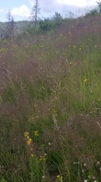 20230720_092629[9151]