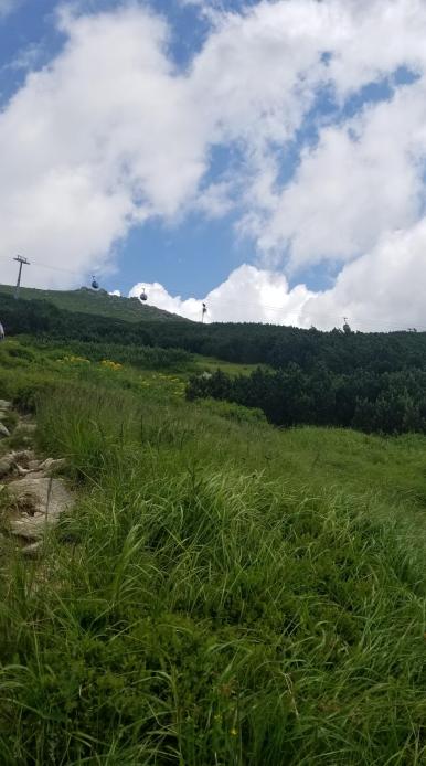 20230720_111047[9144]