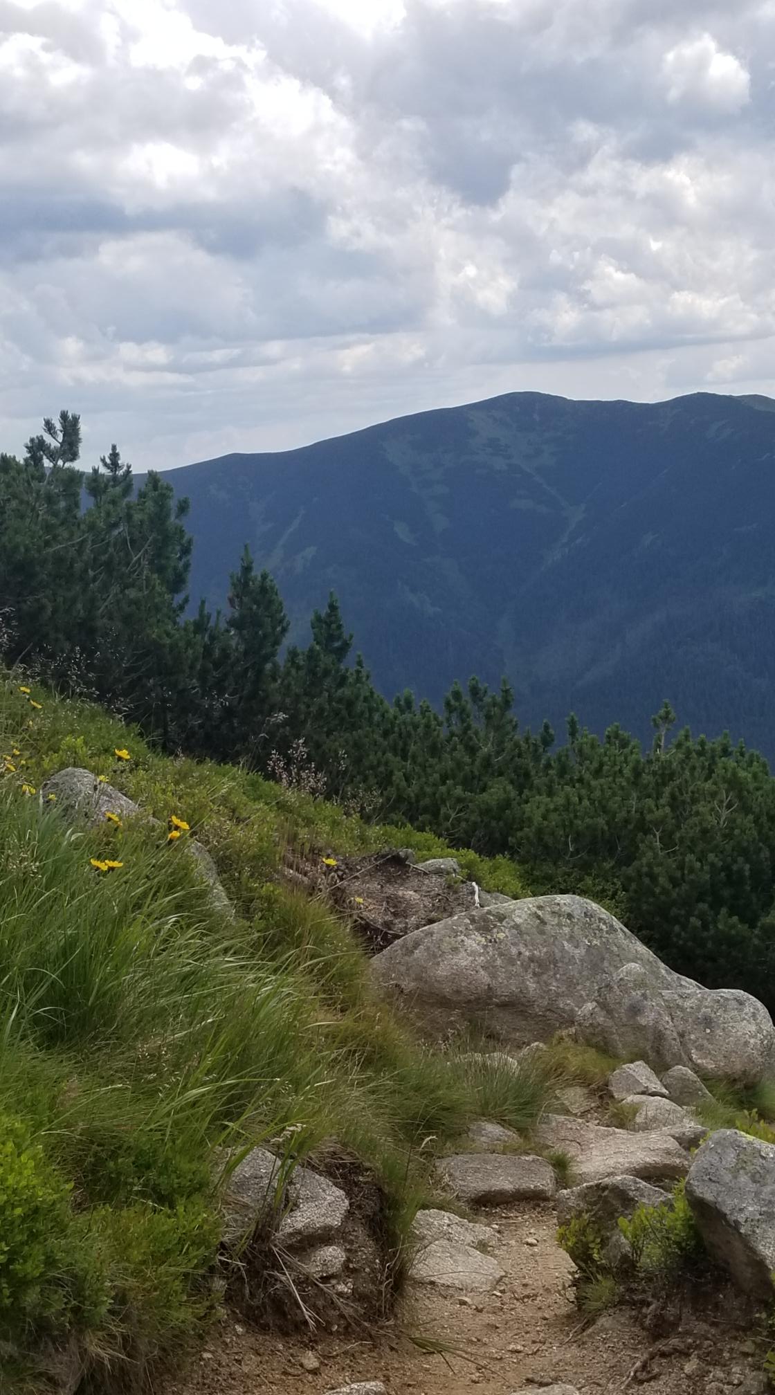 20230720_113126[9143]