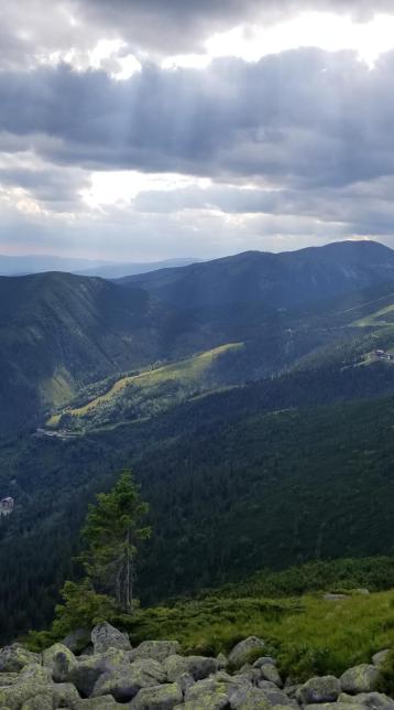 20230720_163145[9113]