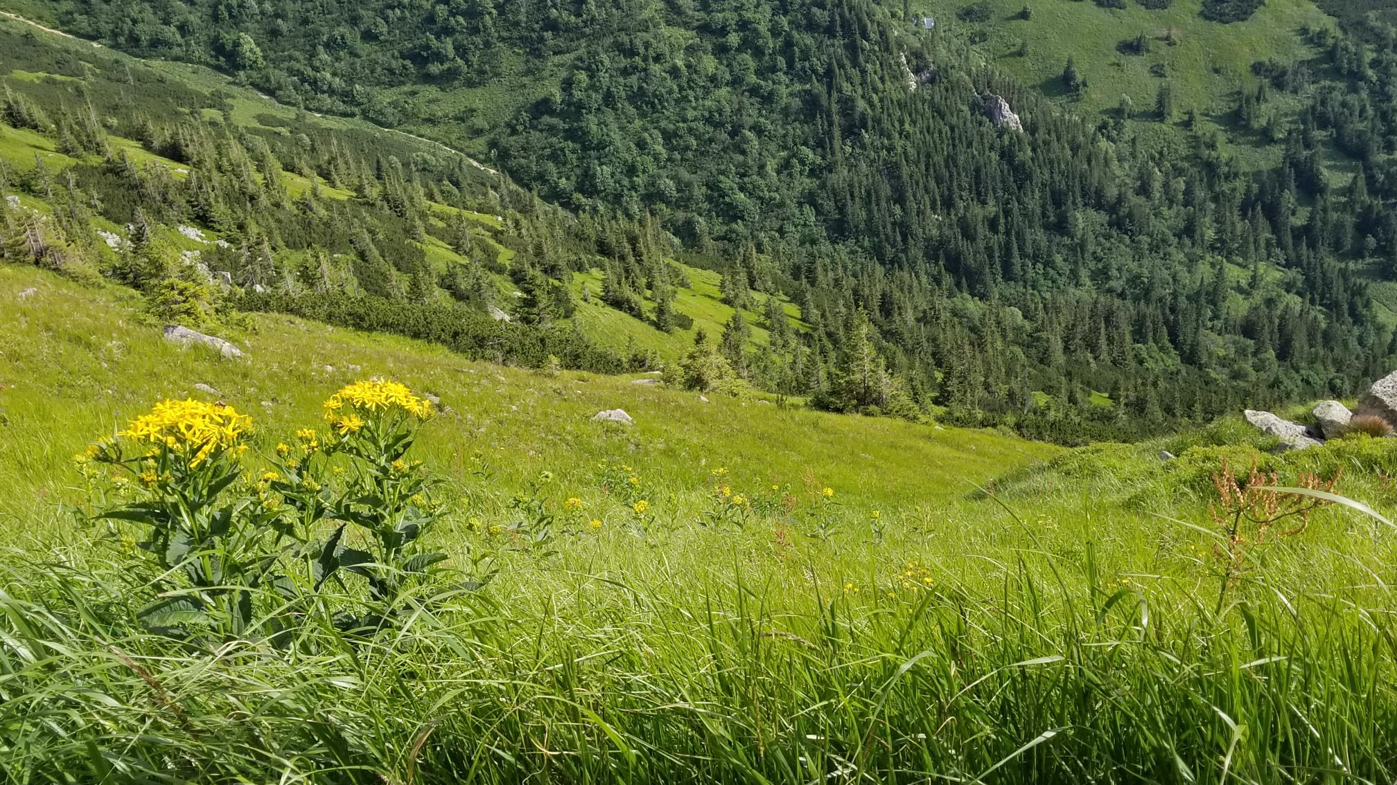 20230720_165153[9118]