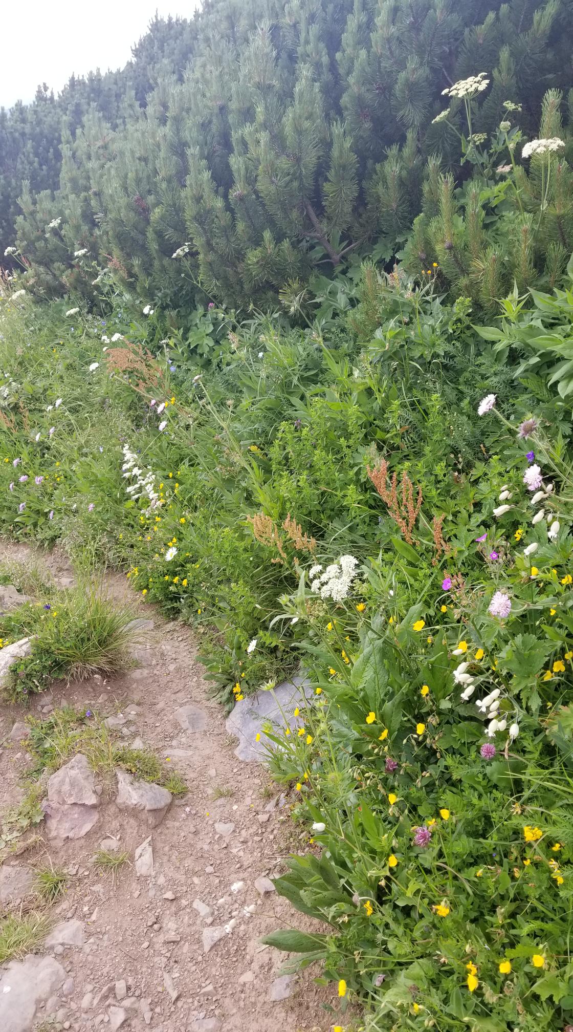 20230720_173523[9116]