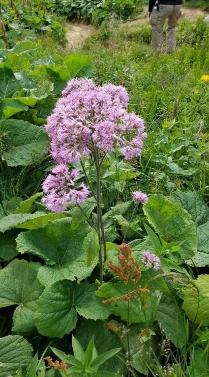 20230720_174649[9124]