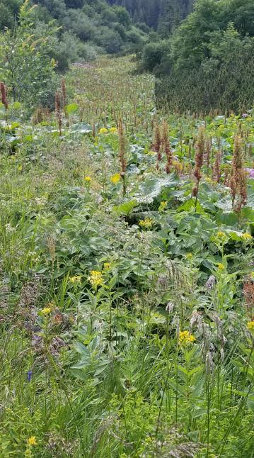 20230720_175408[9122]