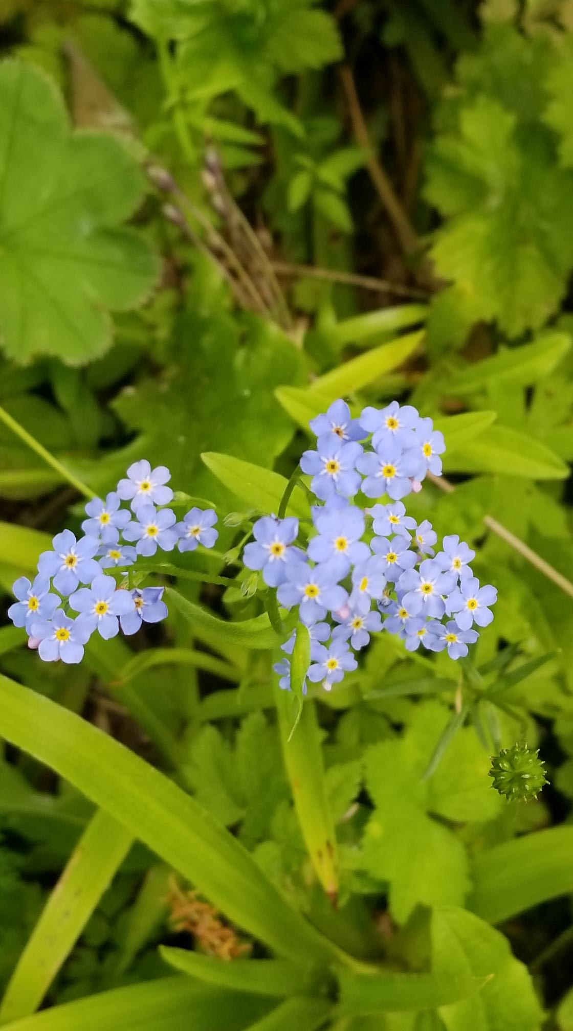 20230720_180251[9126]