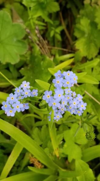 20230720_180251[9126]