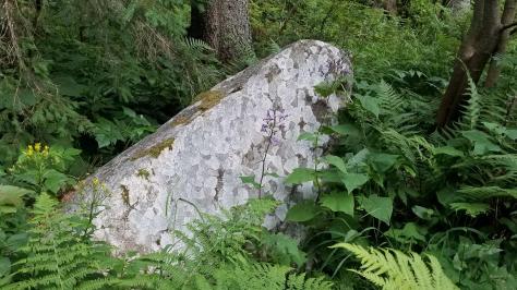 20230720_192126[9129]