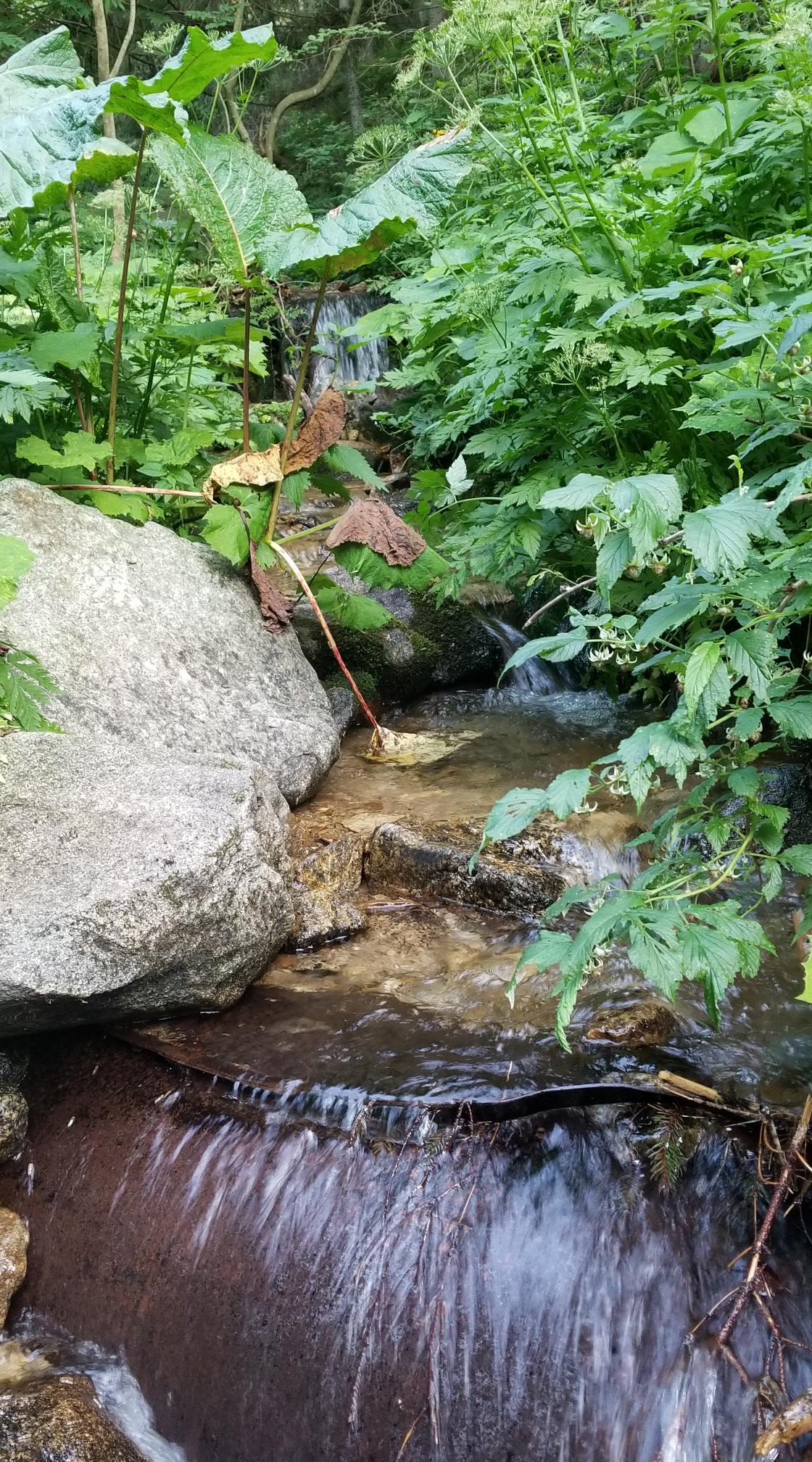 20230720_192513[9131]